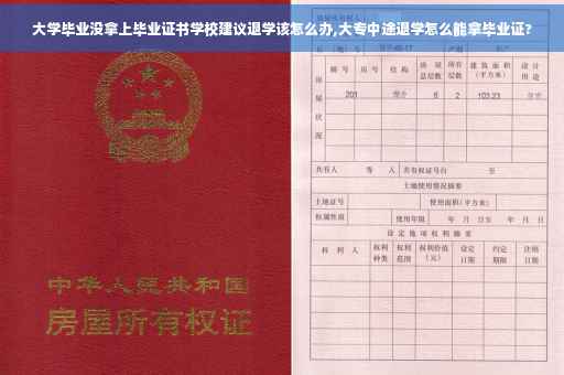 大学毕业没拿上毕业证书学校建议退学该怎么办,大专中途退学怎么能拿毕业证?
