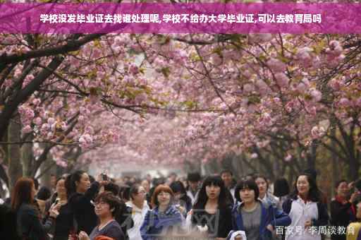 学校没发毕业证去找谁处理呢,学校不给办大学毕业证,可以去教育局吗