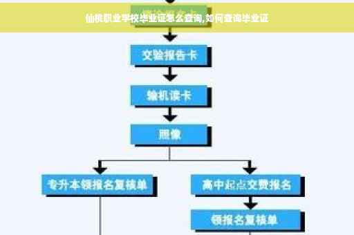 仙桃职业学校毕业证怎么查询,如何查询毕业证