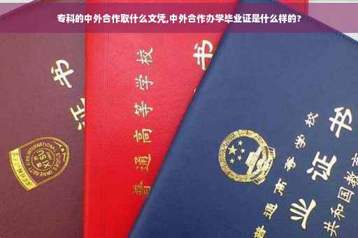 专科的中外合作取什么文凭,中外合作办学毕业证是什么样的?