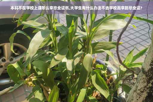 本科不在学校上课怎么拿毕业证书,大学生有什么办法不去学校而拿到毕业证?