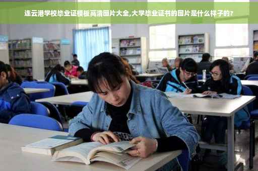 连云港学校毕业证模板高清图片大全,大学毕业证书的图片是什么样子的?