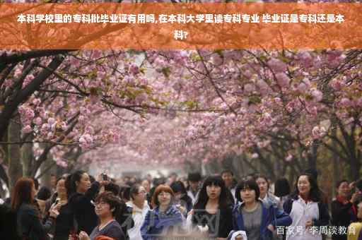 本科学校里的专科批毕业证有用吗,在本科大学里读专科专业 毕业证是专科还是本科?