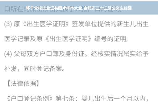 怀宁党校毕业证书图片样本大全,合肥市二十二路公交车线路