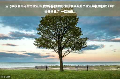 云飞学校去半年给毕业证吗,我想问问你的职业技术学院的毕业证学校给你发了吗?我是毕业了,一直没去...