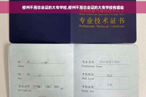 柳州不用毕业证的大专学校,柳州不用毕业证的大专学校有哪些