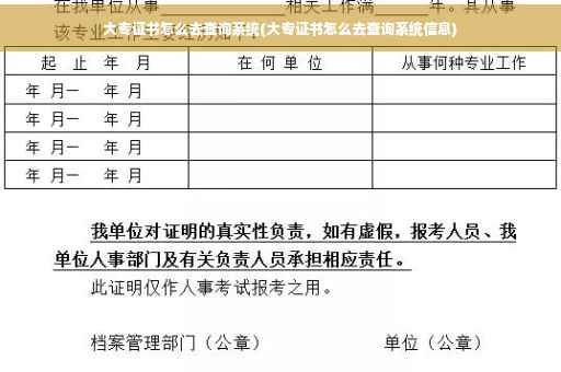 大专证书怎么去查询系统(大专证书怎么去查询系统信息)