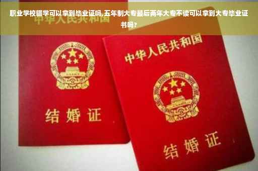 职业学校辍学可以拿到毕业证吗,五年制大专最后两年大专不读可以拿到大专毕业证书吗? 职业学校辍学可以拿到毕业证吗,五年制大专最后两年大专不读可以拿到大专毕业证书吗?
