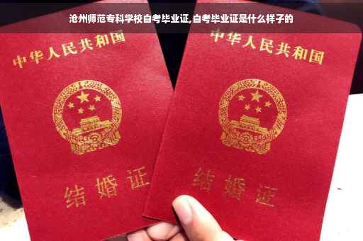 沧州师范专科学校自考毕业证,自考毕业证是什么样子的