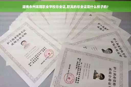 湖南永州龙翔职业学校毕业证,职高的毕业证是什么样子的?