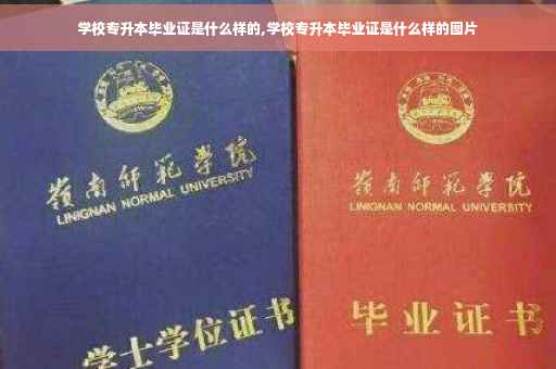 学校专升本毕业证是什么样的,学校专升本毕业证是什么样的图片