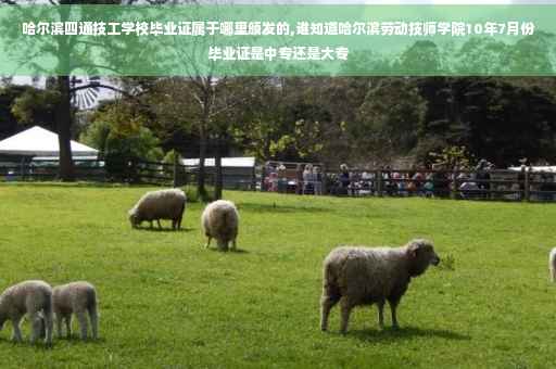 哈尔滨四通技工学校毕业证属于哪里颁发的,谁知道哈尔滨劳动技师学院10年7月份毕业证是中专还是大专