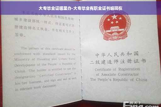 大专毕业证哪里办-大专毕业有职业证书嘛现在