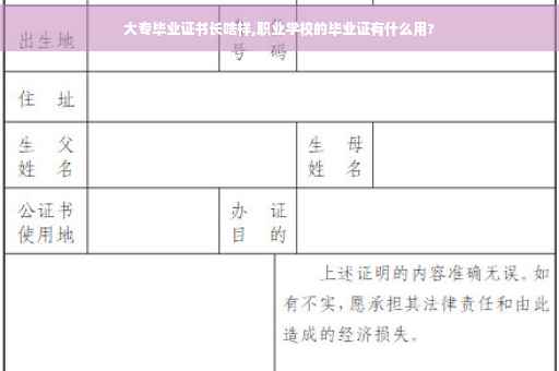 大专毕业证书长啥样,职业学校的毕业证有什么用?