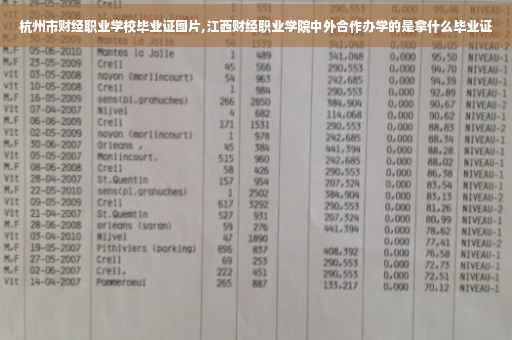 杭州市财经职业学校毕业证图片,江西财经职业学院中外合作办学的是拿什么毕业证