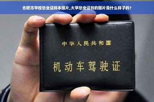 合肥市学校毕业证样本图片,大学毕业证书的图片是什么样子的?
