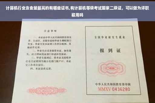 计算机行业含金量最高的有哪些证书,有计算机等级考试国家二级证，可以做为评职称用吗