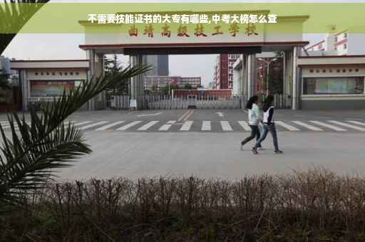 不需要技能证书的大专有哪些,中考大榜怎么查