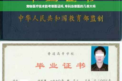 宠物医疗技术能考兽医证吗,专科当兽医的几率大吗