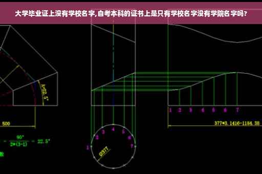 大学毕业证上没有学校名字,自考本科的证书上是只有学校名字没有学院名字吗?