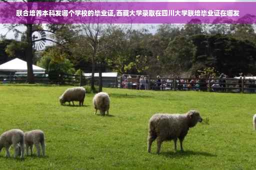 联合培养本科发哪个学校的毕业证,西藏大学录取在四川大学联培毕业证在哪发