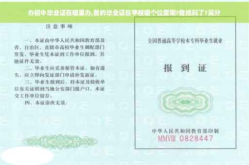 办初中毕业证在哪里办,我的毕业证在学校哪个位置呢?我挂科了?高分