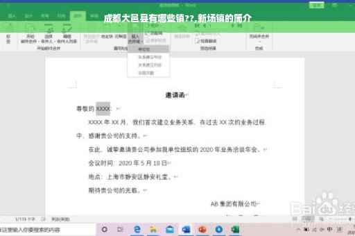 成都大邑县有哪些镇??,新场镇的简介