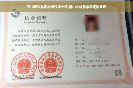 苍山县少林武术学校毕业证,嵩山少林武术学院毕业证