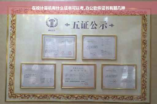 在校计算机有什么证书可以考,办公软件证书有那几种