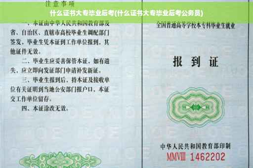 什么证书大专毕业后考(什么证书大专毕业后考公务员)