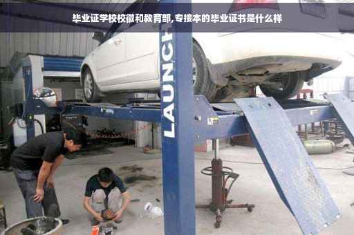 毕业证学校校徽和教育部,专接本的毕业证书是什么样 毕业证学校校徽和教育部,专接本的毕业证书是什么样