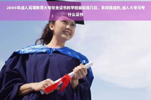 2000年成人高等教育大专毕业证书的学校编码是几位,怎样组成的,成人大专可考什么证书 2000年成人高等教育大专毕业证书的学校编码是几位,怎样组成的,成人大专可考什么证书