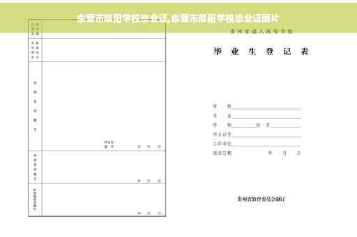 东营市晨阳学校毕业证,东营市晨阳学校毕业证图片