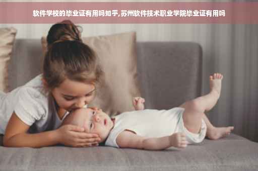 软件学校的毕业证有用吗知乎,苏州软件技术职业学院毕业证有用吗