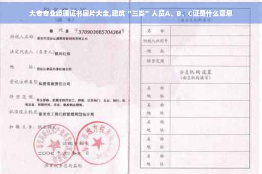 大专专业经理证书图片大全,建筑“三类”人员A、B、C证是什么意思