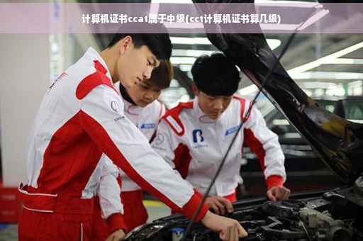 计算机证书ccat属于中级(cct计算机证书算几级)