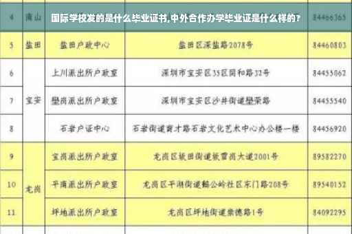 国际学校发的是什么毕业证书,中外合作办学毕业证是什么样的?