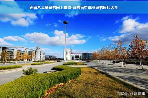 西藏八大员证书网上查询-藏族高中毕业证书图片大全