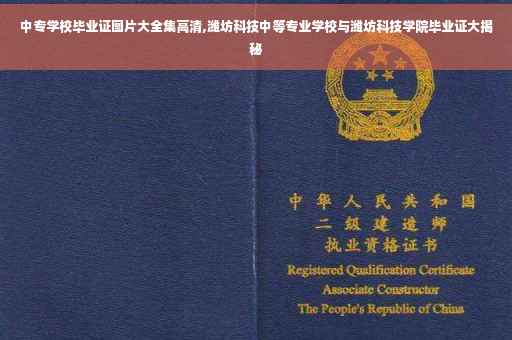 中专学校毕业证图片大全集高清,潍坊科技中等专业学校与潍坊科技学院毕业证大揭秘