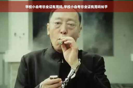 学校小自考毕业证有用吗,学校小自考毕业证有用吗知乎