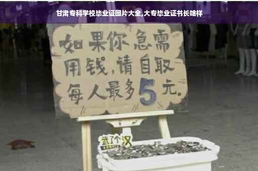 甘肃专科学校毕业证图片大全,大专毕业证书长啥样