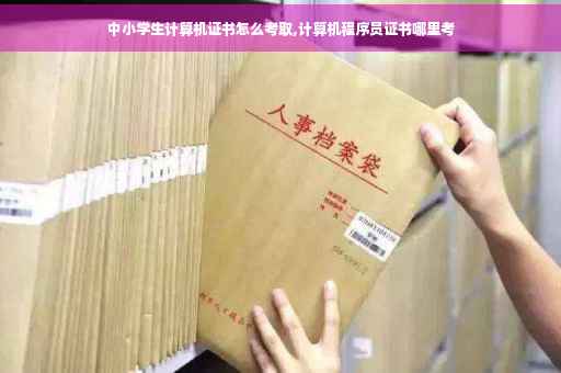 中小学生计算机证书怎么考取,计算机程序员证书哪里考