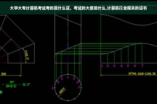 大学大专计算机考试考的是什么证，考试的大纲是什么,计算机行业相关的证书
