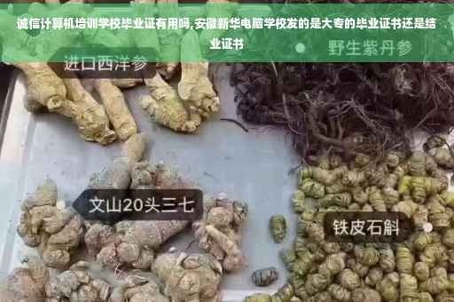 诚信计算机培训学校毕业证有用吗,安徽新华电脑学校发的是大专的毕业证书还是结业证书