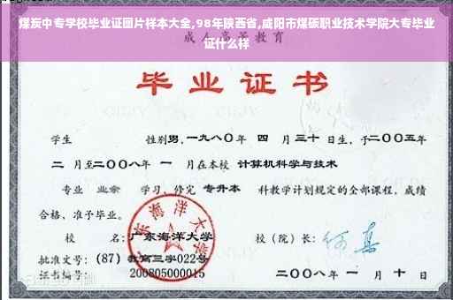 煤炭中专学校毕业证图片样本大全,98年陕西省,咸阳市煤碳职业技术学院大专毕业证什么样