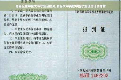 青岛卫生学校大专毕业证图片,青岛大学高职学院毕业证是什么样的