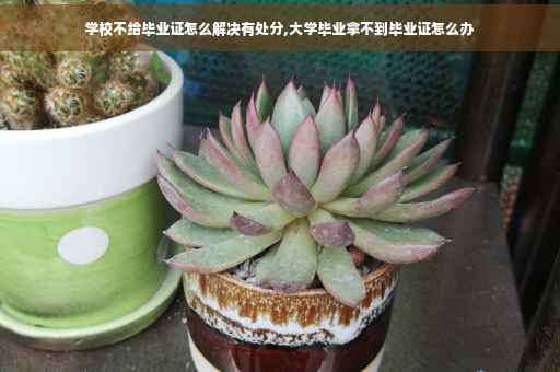 学校不给毕业证怎么解决有处分,大学毕业拿不到毕业证怎么办 学校不给毕业证怎么解决有处分,大学毕业拿不到毕业证怎么办