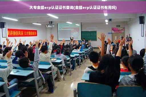 大专金蝶erp认证证书查询(金蝶erp认证证书有用吗)