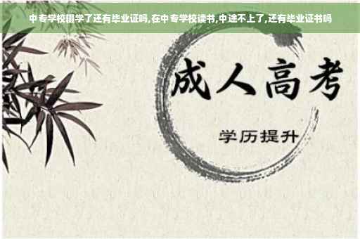 中专学校辍学了还有毕业证吗,在中专学校读书,中途不上了,还有毕业证书吗