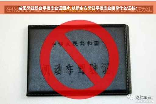 咸阳烹饪职业学校毕业证图片,从新东方烹饪学校毕业能拿什么证书?